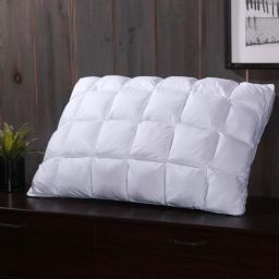 Egyptian Linens - Goose Down Pillow - 600 Thread Count French Pleated (Std/Queen)
