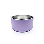 Come Here Buddy Stainless Steel Dog Bowl