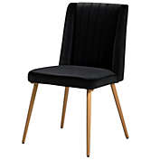 Best Master Furniture Newport Black Velvet Dining Chairs with Gold Legs(Set of 2)