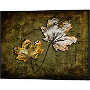 Great Art Now Metallic Leaf 2 by LightBoxJournal 20-Inch x 16-Inch Canvas Wall Art