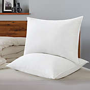 Unikome 2 Pack Goose Feather Down Side/Back Sleeper Bed Pillows in White,Standard/Queen