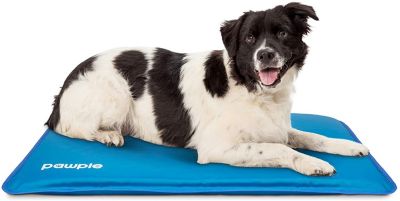 Pawple Dog Cooling Mat Pet Pad for Kennels, Crates and Beds, Thick Foam Base