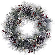 Kurt Adler Battery-Operated Artificial Pre-Lit LED Flocked Red Berries and Pinecones Wreath Christmas Decoration, White, 24"
