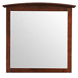 Passion Furniture 37 in. x 35 in. Classic Rectangle Framed Dresser Mirror - Cappuccino