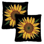Toland Home Garden Set of 2 Beautiful Sunflower Outdoor Patio Throw Pillow Covers 18"