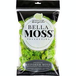 Syndicate Sales Bella Moss Reindeer Bag Moss, Chartreuse