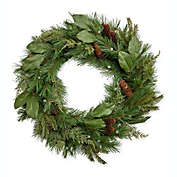 Plow & Hearth 24" Lighted Magnolia Garden Evergreen Wreath with 30 Lights