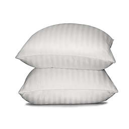 Blue Ridge 350 TC Damask Stripe Cotton Cover White Down Pillow - Jumbo 20