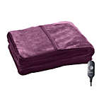 Alternate image 0 for Sunbeam Microplush Heated Throw with Foot Pocket in Winter Bloom