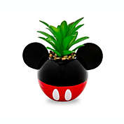 Disney Mickey Mouse 3-Inch Ceramic Mini Planter with Artificial Succulent   Small Flower Pot, Faux Indoor Plants For Desk Shelf, Home Decor Trinket Tray   Cute Gifts and Collectibles