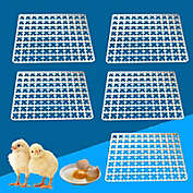 Kitcheniva Egg Hatching Incubator Trays 5 Pcs 88 Eggs Holder
