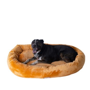 Armarkat Bolstered Pet Bed and Mat, ultra-soft Dog Bed, Brown, Large. View a larger version of this product image.