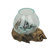 J.D. Yeatts Melted Glass On Teak Driftwood Decorative Bowl/Vase/Terrarium Planter
