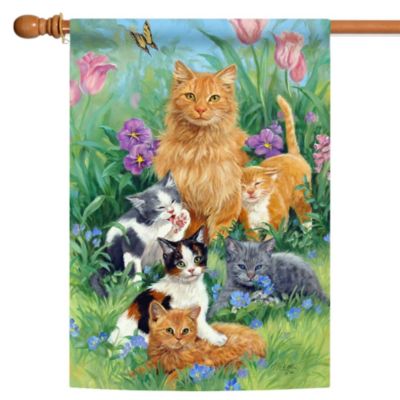 Toland Home Garden Meadow Cats Outdoor House Flag 40" x 28"