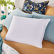 Sleep Innovations Reversible Cooling Gel & Memory Foam Pillow
