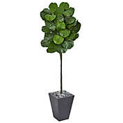 Nearly Natural 6&#39; Fiddle Leaf Artificial Tree in Slate Finished Planter