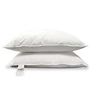 KASENTEX 100% White Down and Feather Bed Pillows Pair (Set) 20x26
