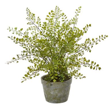 Nearly Natural 16" Artificial Maiden Hair Plant in Decorative Planter. View a larger version of this product image.