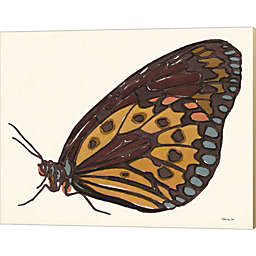 Great Art Now Papillon 5 by Stellar Design Studio 20-Inch x 16-Inch Canvas Wall Art