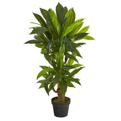 Nearly Natural Modern 3' Corn Stalk Dracaena Artificial Plant (Real Touch)