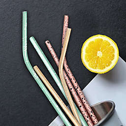 Grand Fusion Painted Metallic Stainless Steel Straws with Brush,6 Straws & 2 Brushes