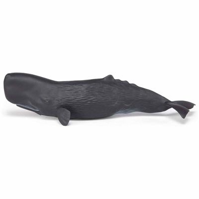 Papo Whale Animal Figure 56012 | Bed Bath & Beyond