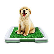Evertone Puppy Potty Training Grass Pad