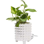 Juvale Hobnail Ceramic Planter, White Flower Pot (7 Inches)