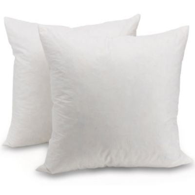 Cheer Collection Set of 2 Down and Feather Throw Pillow Insert   Square Couch Cushion Pillow Form, Sham Stuffer - 18x18