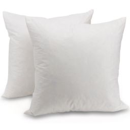 Cheer Collection Set of 2 Down and Feather Throw Pillow Insert   Square Couch Cushion Pillow Form, Sham Stuffer