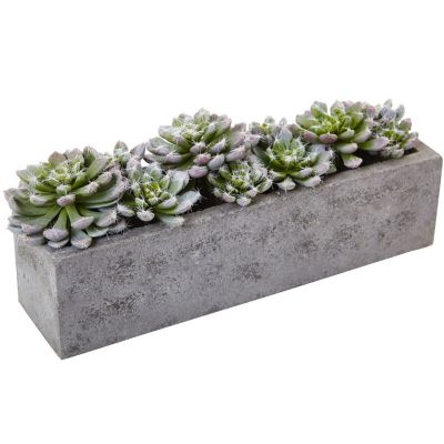 Nearly Natural Succulent Garden with Textured Concrete Planter