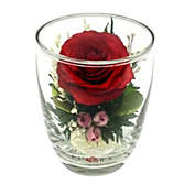 Fiora Flower Long-Lasting Red Rose in a Small Glass Vase