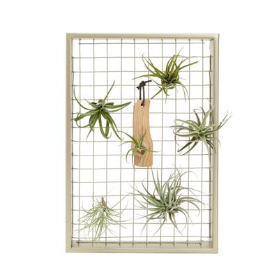 Juvale Air Plant Holder Frame, 11" x 16" Wall Mounted Planter for Hanging Tillandsia Decor (Gold)