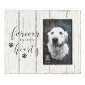 Okuna Outpost Rustic Dog Memorial Picture Frame for 4x6 Photo, Forever In Our Hearts (White, 9.5 x 8 In)