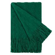 PiccoCasa 100% Acrylic Knit Throw Blanket Soft Rectangle Lightweight Wave Pattern Decors Knitted Blanket with Tassels Fringe for Home Couch, Bed, Sofa, Travel, 50x60 Inch, Green