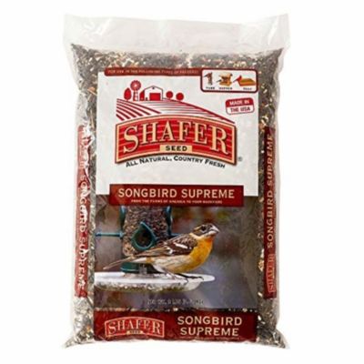 White Proso Millet Wild Bird Food Shafer Seed #84075 50-Pound 