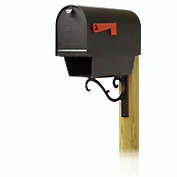 Special Lite Products Titan Aluminum Curbside Mailbox with Newspaper Tube and Sorrento Front Single Mailbox Mounting Bracket