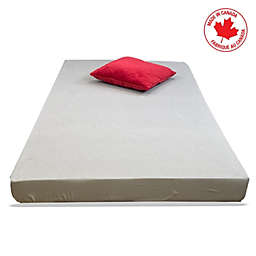 ViscoLogic   AFFORD  - Made in Canada - Flipable Reversible Foam Mattress with Assorted Covers (Twin)