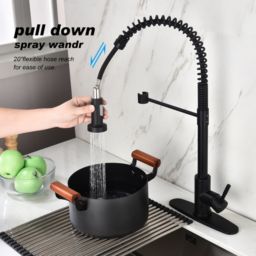 Inq Boutique Kitchen Faucet with Pull Out Spraye-dk