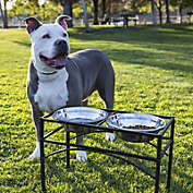 Kitcheniva Pet Dog Feeder Bowl Stainless Steel Food Water Stand + 2 Bowls Medium