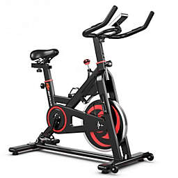 Costway 30 lbs Family Fitness Aerobic Exercise Magnetic Bicycle