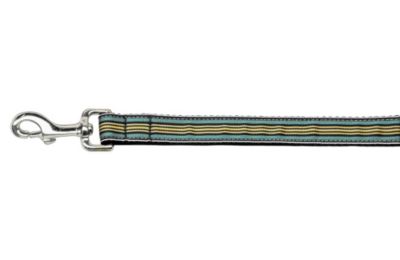 Mirage Pet Products 1" Wide 6ft Long Dog Leash for Preppy Stripes Nylon Ribbon Collar, Light Blue/Khaki