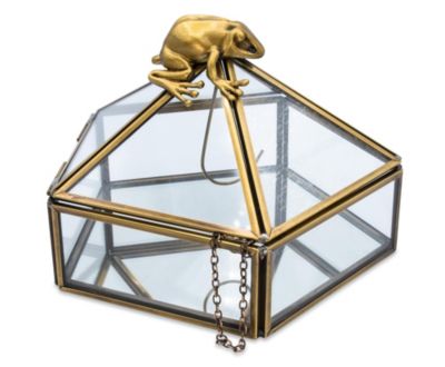 Harry Potter Gold Chocolate Frog Jewelry Box Organizer Display Case Container   Jewelry Dish Trinket Tray For Necklaces, Rings, Bracelets   Home Decor Room Essentials   Wizarding World Gifts