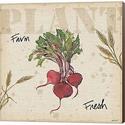 Great Art Now Farmers Feast IV by Anne Tavoletti 12-Inch x 12-Inch Canvas Wall Art