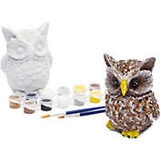 Bright Creations Owl Pet Rock Painting Kit with 12 Paint Pods, 2 Paint Brushes, and 2 Owls (2 Sets, 16 Pieces)