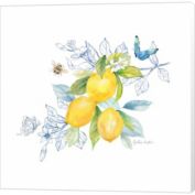 Great Art Now Lemon Sketch Book III by Cynthia Coulter 24-Inch x 24-Inch Canvas Wall Art