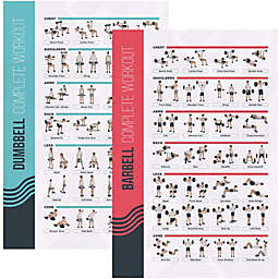 PosterMate FitMate Dumbbell and Barbell Bundle Workout Exercise Poster - Workout Routine with Free Weights, Home Gym Decor, Room Guide (16.5 x 25 Inch) - PosterMate