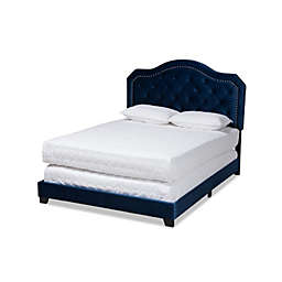 Baxton Studio  Baxton Studio Samantha Modern and Contemporary Navy Blue Velvet Fabric Upholstered Queen Size Button Tufted Bed