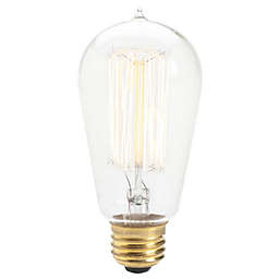 Signature Home Collection Set of 3 Clear Incandescent Squirrel Cage Edison Light Bulbs 5\