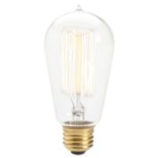 Signature Home Collection Set of 3 Clear Incandescent Squirrel Cage Edison Light Bulbs 5"